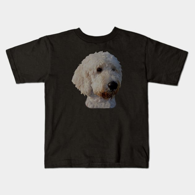 Blonde Goldendoodle Dog Kids T-Shirt by WoofnDoodle 